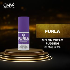 Furla Blueberry Pudding Salt Series V4 25mg 30ml By DJI